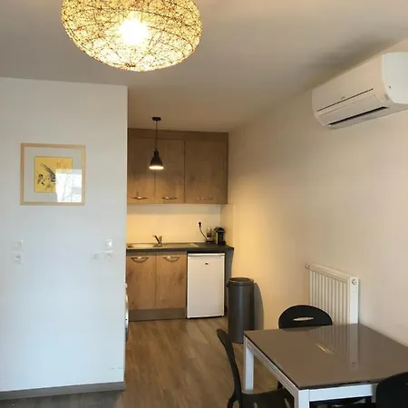 F2 Côté Ugc Climatisé Plein Centre Parking Gratuit * Strasbourg