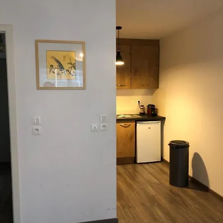 F2 Cote Ugc Climatise Plein Centre Parking Gratuit * Στρασβούργο